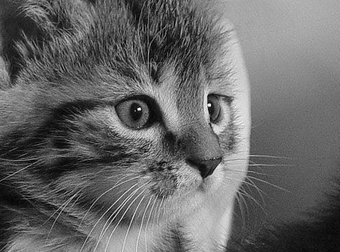 Это Водопад Водопад Неагарский А Это Фон