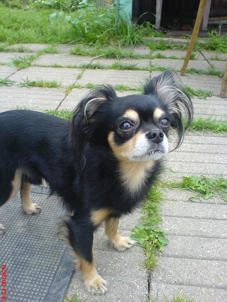 Инна Николаева