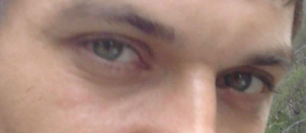 Денис Елисеев