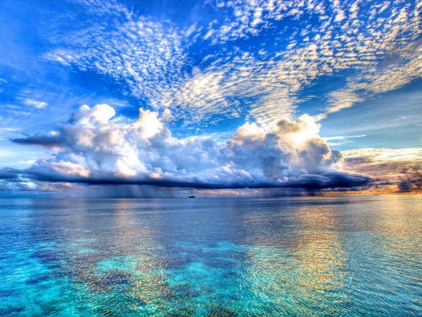 Алексей Веретенников