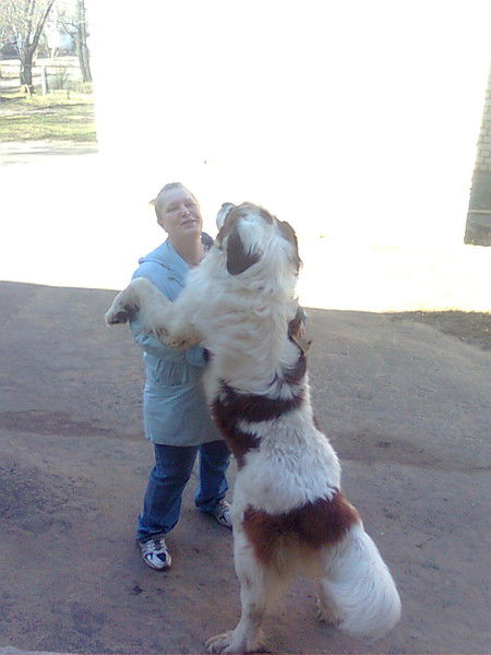 Елена Яшина