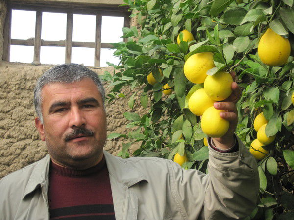 Оймахмад Холов