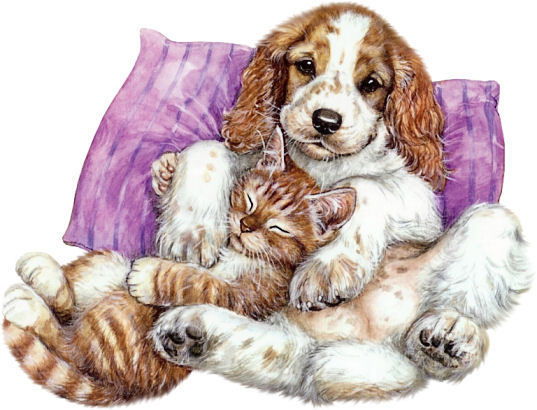 Пиманенок Сергей