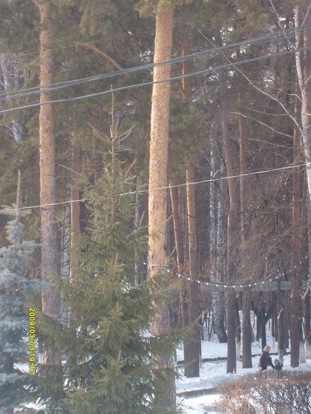 Вадим Шигабутдинов