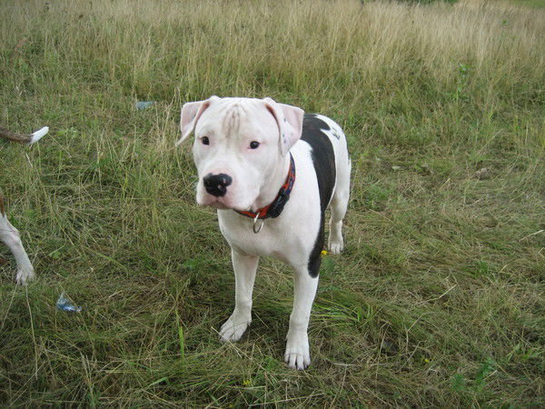 Оксана Бежина