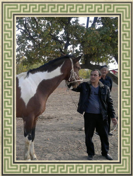 Дильмурат Мухамедраимов