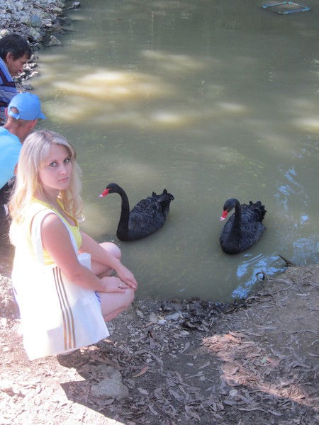 Елена Волынец