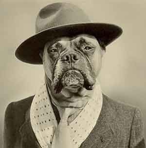 Адмирал Кобель