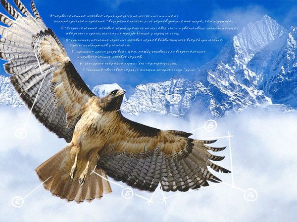 Светлана Шлемова