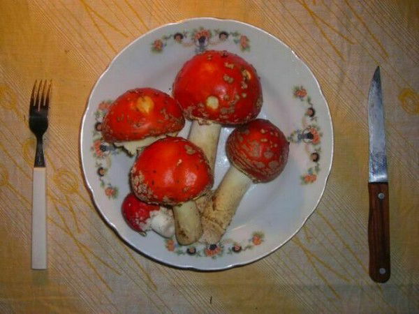 Маргарита Шахова