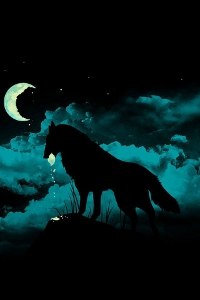 Никита Дусманов