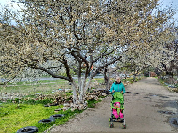 Олеся Гринченко