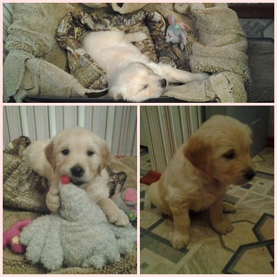 Полинка)))))) Кузнецова))))))