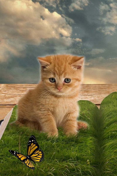 Динара Ражапова