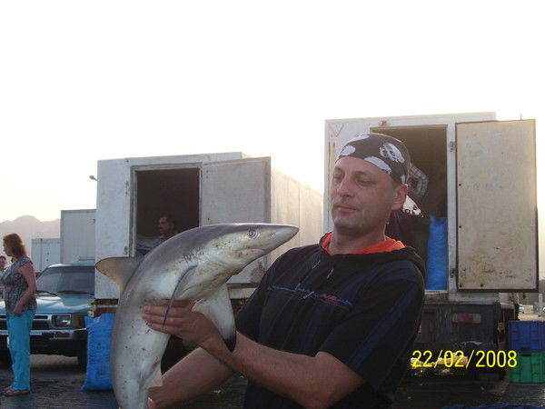 Андрей Маклаков