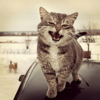 Настя Кочина