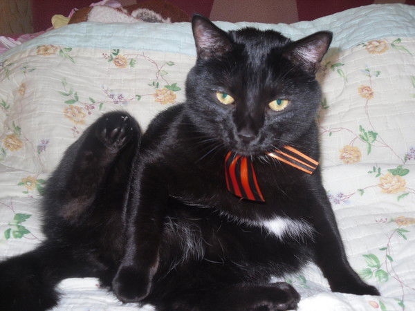 Галина Сорокина