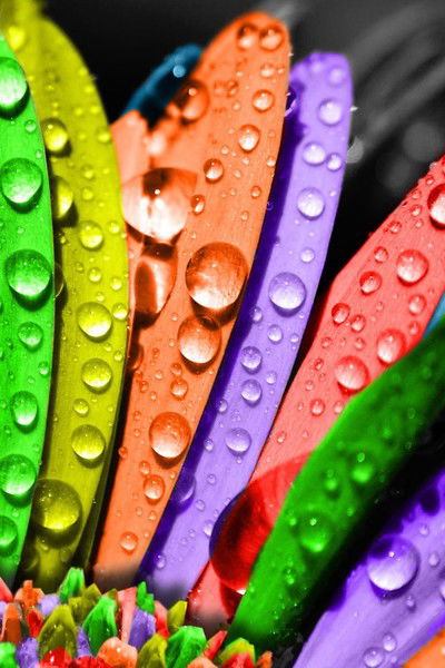 Миргуля Сакибаева