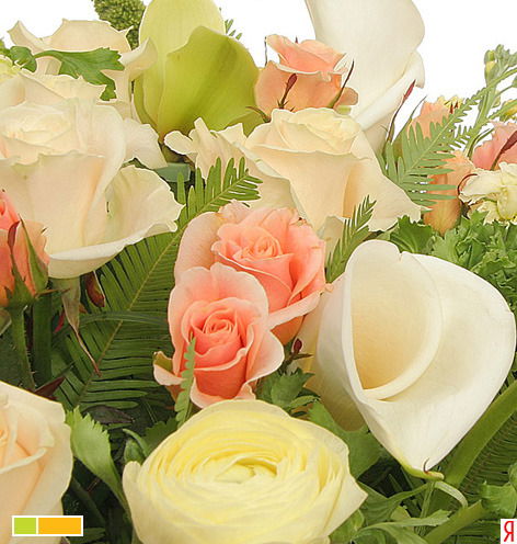 Марина Чараева