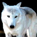 Мишаня Петров