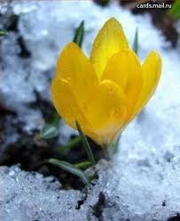 Елена Бортко