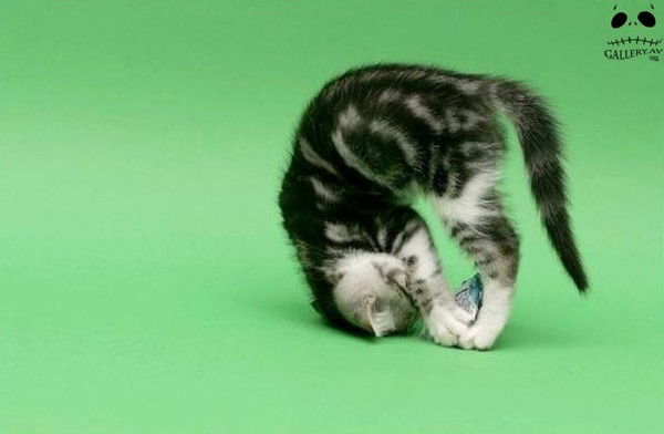 Наталья Якимова