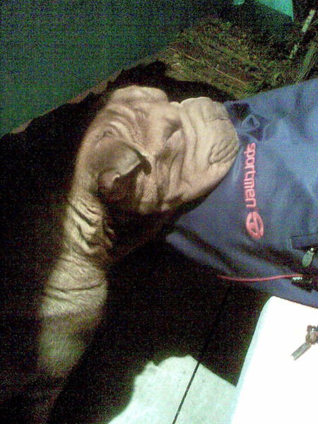 Ольга Логинова