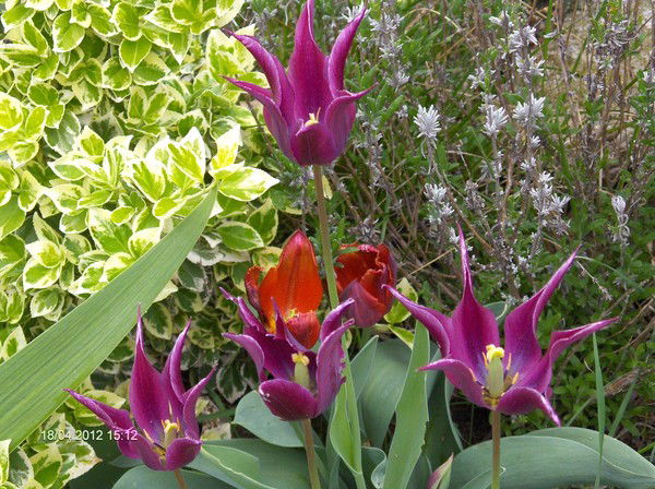 Ольга Цымбалова