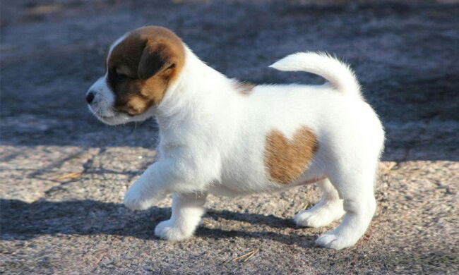 Гульнара Уразбекова