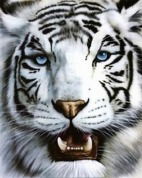 Алексей Данилин