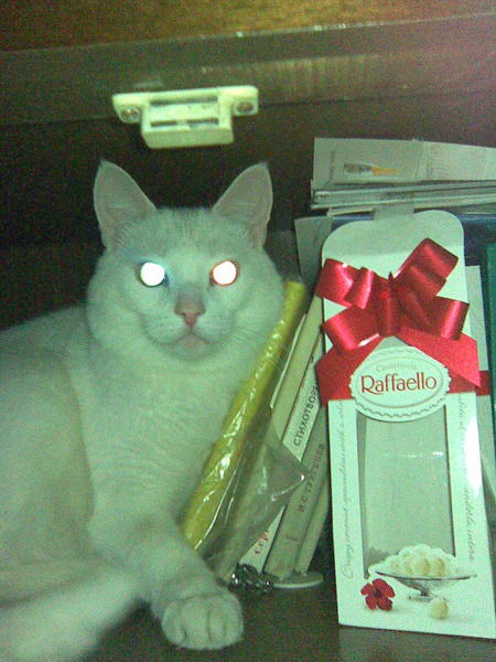 Владимир Михеев