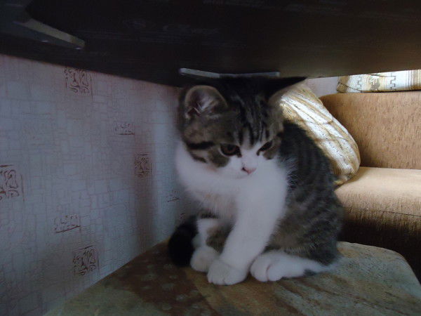 Наталья Зандер