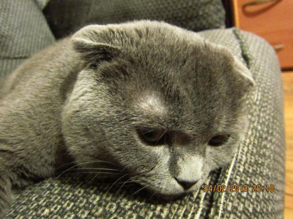 Рустам Билялов