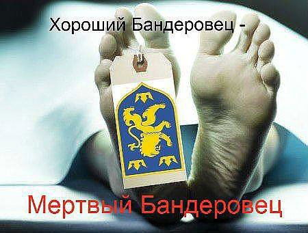 Александр Виноградов