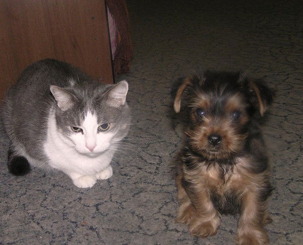 .наталья Куликова