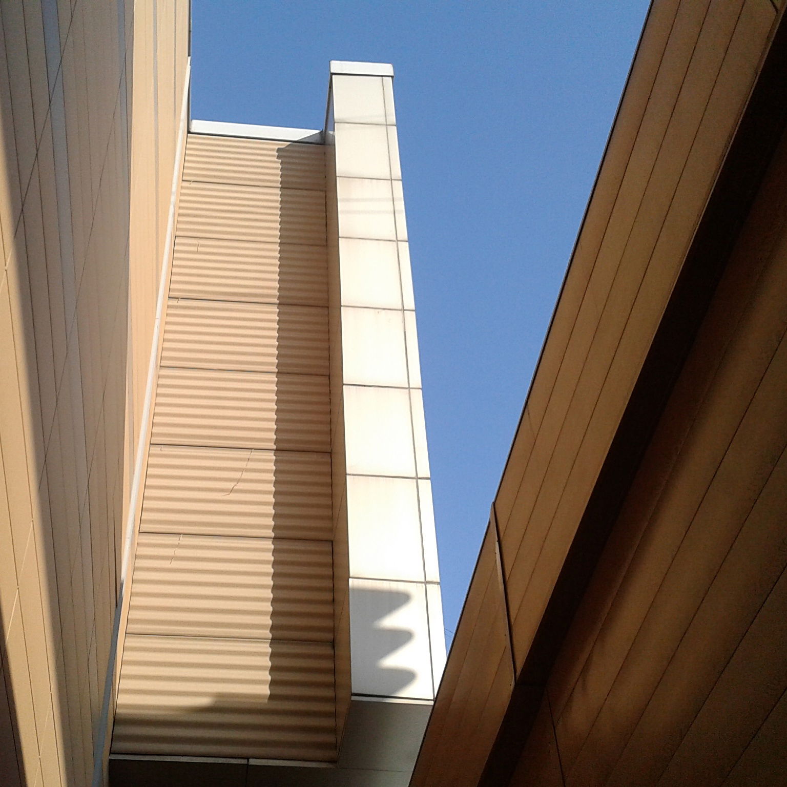 Василиса Дёмкина