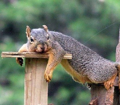 Геннадий Аксенов