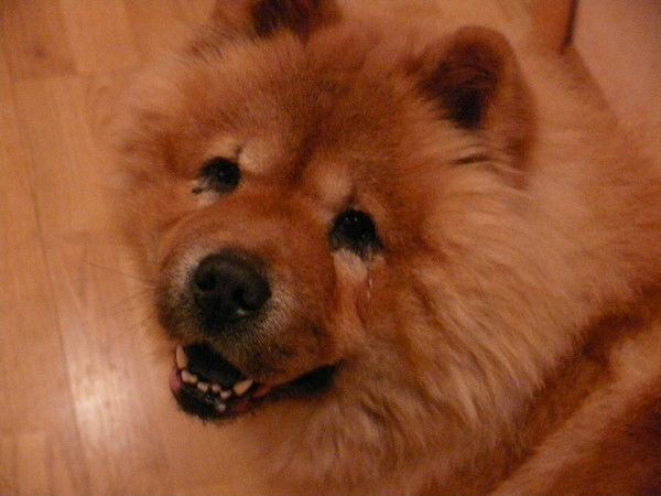 Алексей Заманский