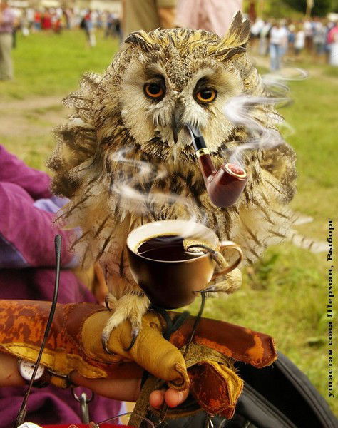 Дмитрий Глазунов