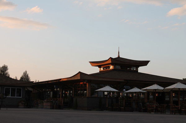 Елена Дюжева