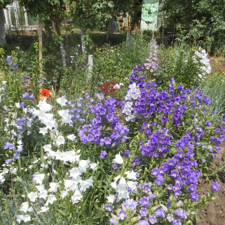 Хадия Сабирьянова