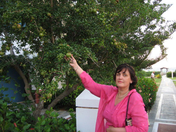 Светлана Телицына