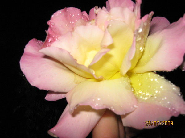 Татьяна Редутко