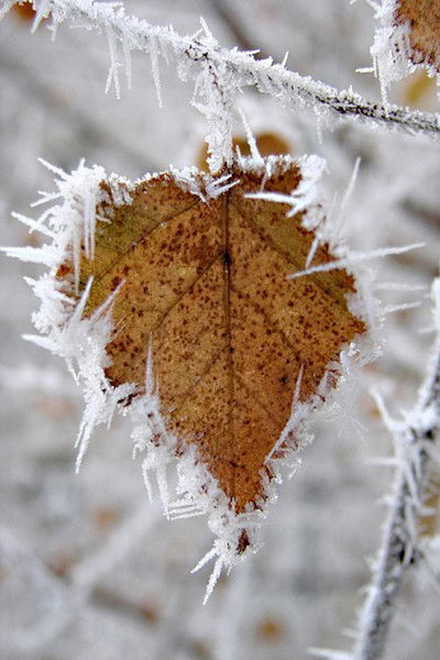 Неизвестно Иванникова