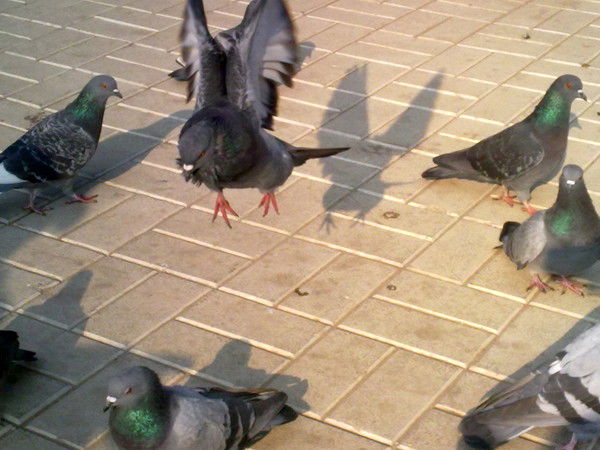 Юрий Васенков