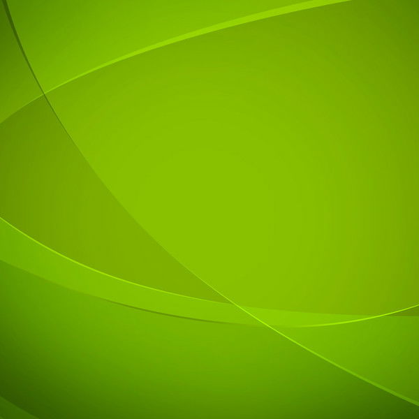 Елена Маркитанова