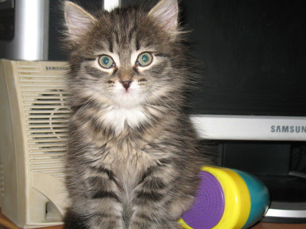 Юлия Миннибаева