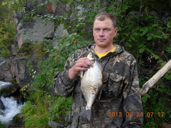 Евгений Плотников