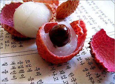 Света Шевцова