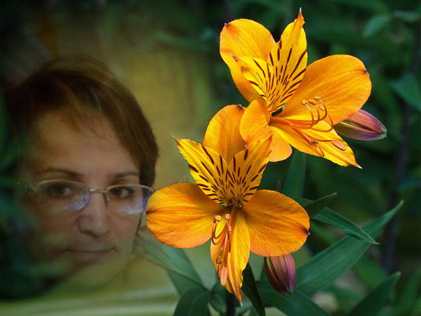 Наталья Чайка